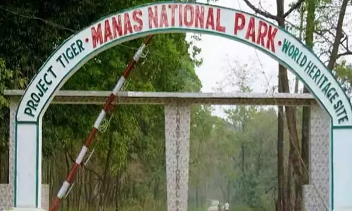 Assam : मानस राष्ट्रीय उद्यान के अधिकारियों को वन्यजीव संरक्षण बढ़ाने के लिए