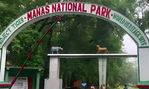 Assam : मानस राष्ट्रीय उद्यान के अधिकारियों को कानून में नवीनतम संशोधनों पर प्रशिक्षण दिया गया