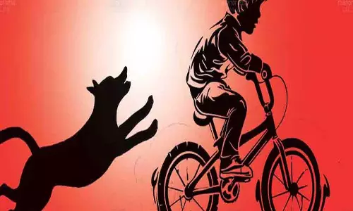 Kerala : आवारा कुत्ते के हमले से अलप्पुझा में 10 वर्षीय लड़के की रेबीज से मौत