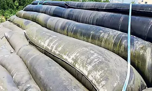 Telangana: गोदावरी तटबंध की सुरक्षा के लिए जियोट्यूब