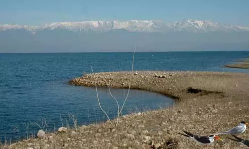 Himachal: 3 जलाशयों में सामान्य भंडारण से 42% की गिरावट Himachal: 3 जलाशयों में सामान्य भंडारण से 42% की गिरावट