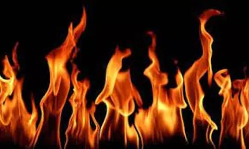 Lakhimpur Kheri: गांव में भीषण आग लगने से मची अफरा-तफरी ,लाखों का नुकसान, दो पशु भी झुलसे