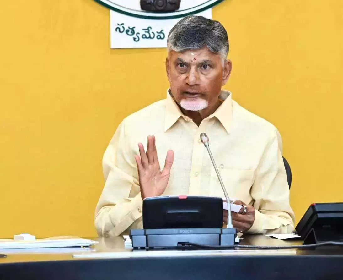 Chandrababu Naidu ने नकली बीज रैकेट के खिलाफ कार्रवाई की चेतावनी दी