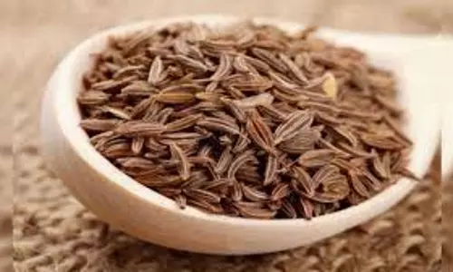 Health: दिन में एक बार खाएं एक चम्मच भुना जीरा, दूर होंगी स्वास्थ्य संबंधी समस्याएं