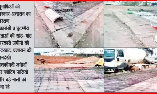 सरकारी जमीनों पर भू-माफिया का कब्जा, कर रहे अवैध प्लॉटिंग