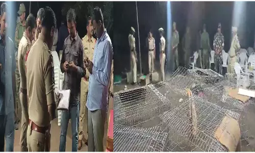 फार्महाउस में ये क्या हो रहा है? अवैध कैसीनो और मुर्गों की लड़ाई का पता चला, 50 से ज्यादा हिरासत में