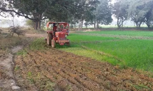 Amethi: तालाब की जमीन को अवैध कब्जे से प्रशासन ने कराया मुक्त Amethi: तालाब की जमीन को अवैध कब्जे से प्रशासन ने कराया मुक्त