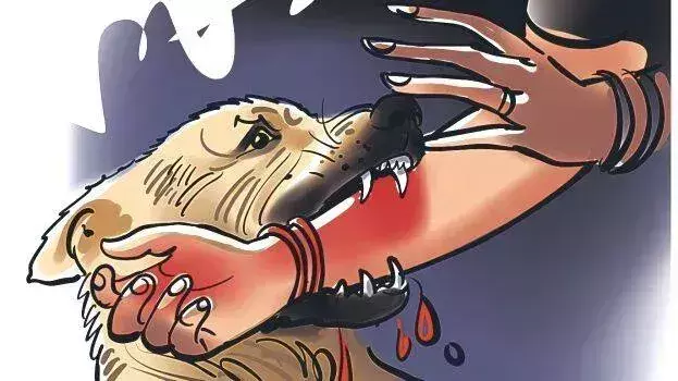 केरल में आवारा कुत्तों का आतंक जारी, सबसे ज्यादा पीड़ित तिरुवनंतपुरम में