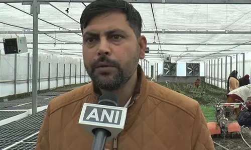 HADP के तहत पॉलीहाउस खेती से जम्मू-कश्मीर के उधमपुर में फसल की पैदावार बढ़ी HADP के तहत पॉलीहाउस खेती से जम्मू-कश्मीर के उधमपुर में फसल की पैदावार बढ़ी
