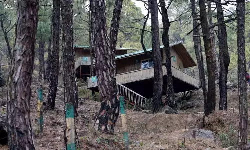 Himachal: पर्यटकों के लिए बनी बांस की झोपड़ियां उद्घाटन का इंतजार कर रही