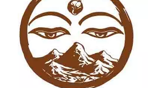 अद्रिभु पहाड़ी एडिबल्स: पहाड़ों की गोद से सेहत का उपहार