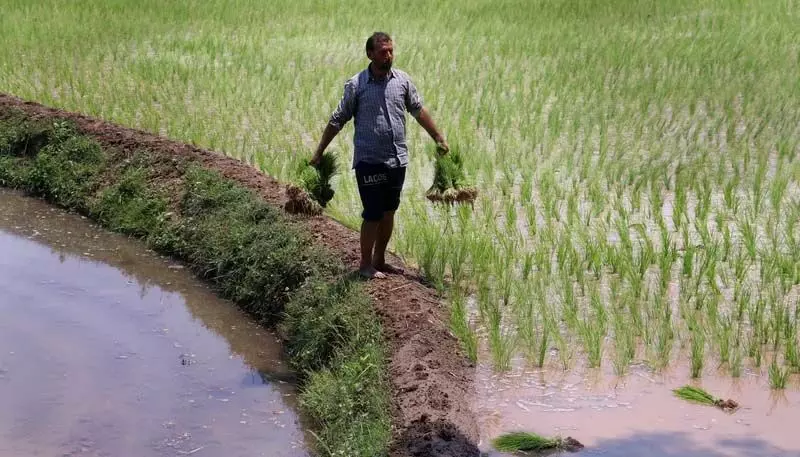 इफको ने ई-कॉमर्स प्लेटफॉर्म पर अपने उत्पादों की अनधिकृत बिक्री के खिलाफ चेतावनी दी