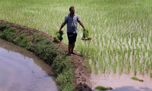 इफको ने ई-कॉमर्स प्लेटफॉर्म पर अपने उत्पादों की अनधिकृत बिक्री के खिलाफ चेतावनी दी इफको ने ई-कॉमर्स प्लेटफॉर्म पर अपने उत्पादों की अनधिकृत बिक्री के खिलाफ चेतावनी दी