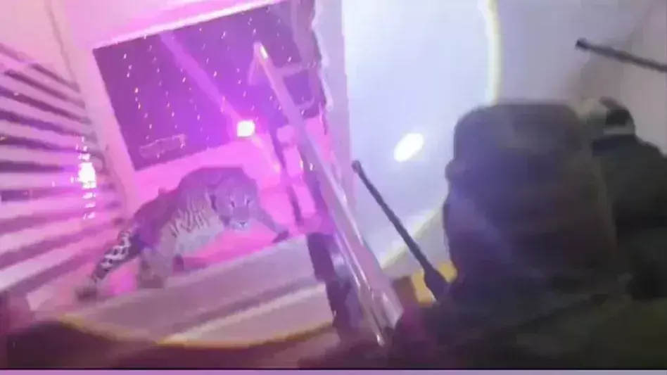 Lucknow: वन विभाग के एक अधिकारी पर रेस्क्यू के दौरान तेंदुए ने हमला किया Lucknow: वन विभाग के एक अधिकारी पर रेस्क्यू के दौरान तेंदुए ने हमला किया