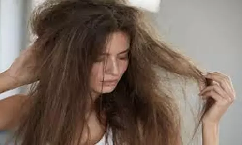 Organic Hair Oil at Home: रूखे और कमजोर बालों से हैं परेशान तो घर पर बनाएं आयुर्वेदिक हेयर ऑयल