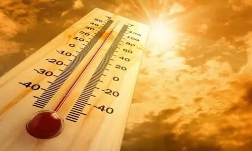 Tamil Nadu: तमिलनाडु के कुछ हिस्सों में तापमान सामान्य से 3 डिग्री सेल्सियस अधिक रहेगा
