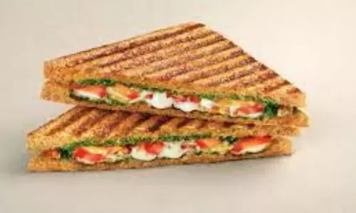 Peri-Peri Sandwich:बच्चों को बेहद पसंद आएगा पेरी-पेरी सैंडविच Peri-Peri Sandwich:बच्चों को बेहद पसंद आएगा पेरी-पेरी सैंडविच
