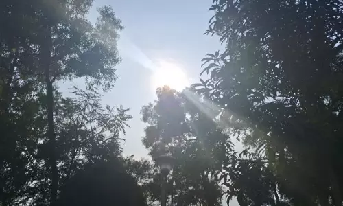 Jharkhand: फरवरी में चढ़ा पारा, 30 डिग्री सेल्सियस के पार पहुंचा Jharkhand: फरवरी में चढ़ा पारा, 30 डिग्री सेल्सियस के पार पहुंचा