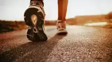 Lifestyle: रोजाना पैदल वॉक से इन गंभीर बीमारियों से मिल सकता है छुटकारा Lifestyle: रोजाना पैदल वॉक से इन गंभीर बीमारियों से मिल सकता है छुटकारा