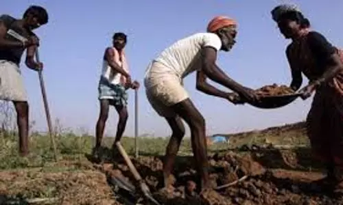 Jodhpur - जिले में मनरेगा के 38 कार्यों के लिए 313.24 लाख की धनराशि मंजूर