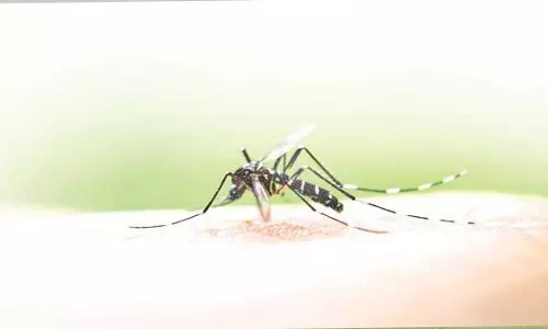 गर्मी से Dengue फैलता है, इसके प्रकोप पर बारिश का प्रभाव अलग-अलग- अध्ययन