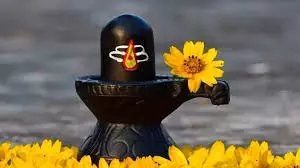 Mahashivratri 2025: महाशिवरात्रि पर शिवलिंग पर चढ़ाएं ये 5 चीजें, महादेव होंगे प्रसन्न Mahashivratri 2025: महाशिवरात्रि पर शिवलिंग पर चढ़ाएं ये 5 चीजें, महादेव होंगे प्रसन्न