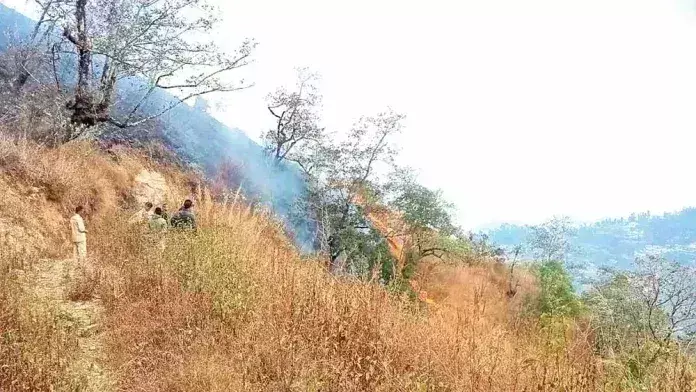 Nagaland : किग्वेमा क्षेत्र में जंगल की आग पर काफी हद तक काबू पा लिया गया Nagaland : किग्वेमा क्षेत्र में जंगल की आग पर काफी हद तक काबू पा लिया गया