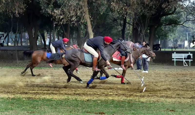 Punjab: बड़े आयोजन के लिए सवार और घोड़े तैयार Punjab: बड़े आयोजन के लिए सवार और घोड़े तैयार