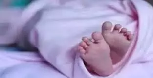 Bharatpur: सड़क पर पड़ा मिला नवजात बच्चे का सिर Bharatpur: सड़क पर पड़ा मिला नवजात बच्चे का सिर