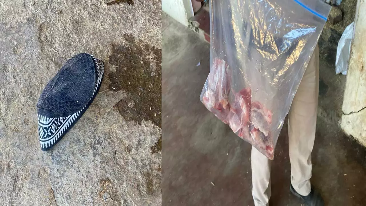 Raipur Breaking: सरोना के भैंसथान में पकड़ाया गौमांस Raipur Breaking: सरोना के भैंसथान में पकड़ाया गौमांस