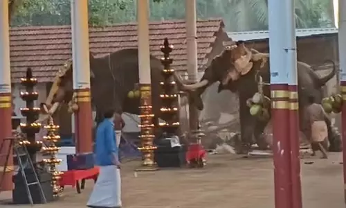 Kerala: केरल के मंदिर पर हाथी के हमले से बड़ा हादसा टला