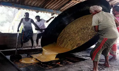 Tamil Nadu: रामनाथपुरम में ताड़ गुड़ की कीमतों में गिरावट से किसान परेशान