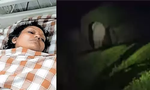 फिर योद्धा की वीरता; महिला मेकअप आर्टिस्ट की कमर टूटी फिर योद्धा की वीरता; महिला मेकअप आर्टिस्ट की कमर टूटी
