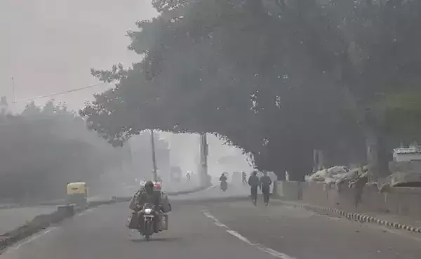 Bhopal: कई जिलों में एक बार फिर ठंड का असर तेज हुआ Bhopal: कई जिलों में एक बार फिर ठंड का असर तेज हुआ