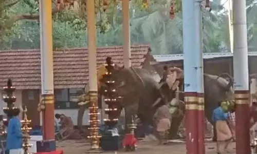 हाथी के हमले की घटना में तीन लोगों की मौत: लापरवाही पाए जाने पर सख्त कार्रवाई की जाएगी