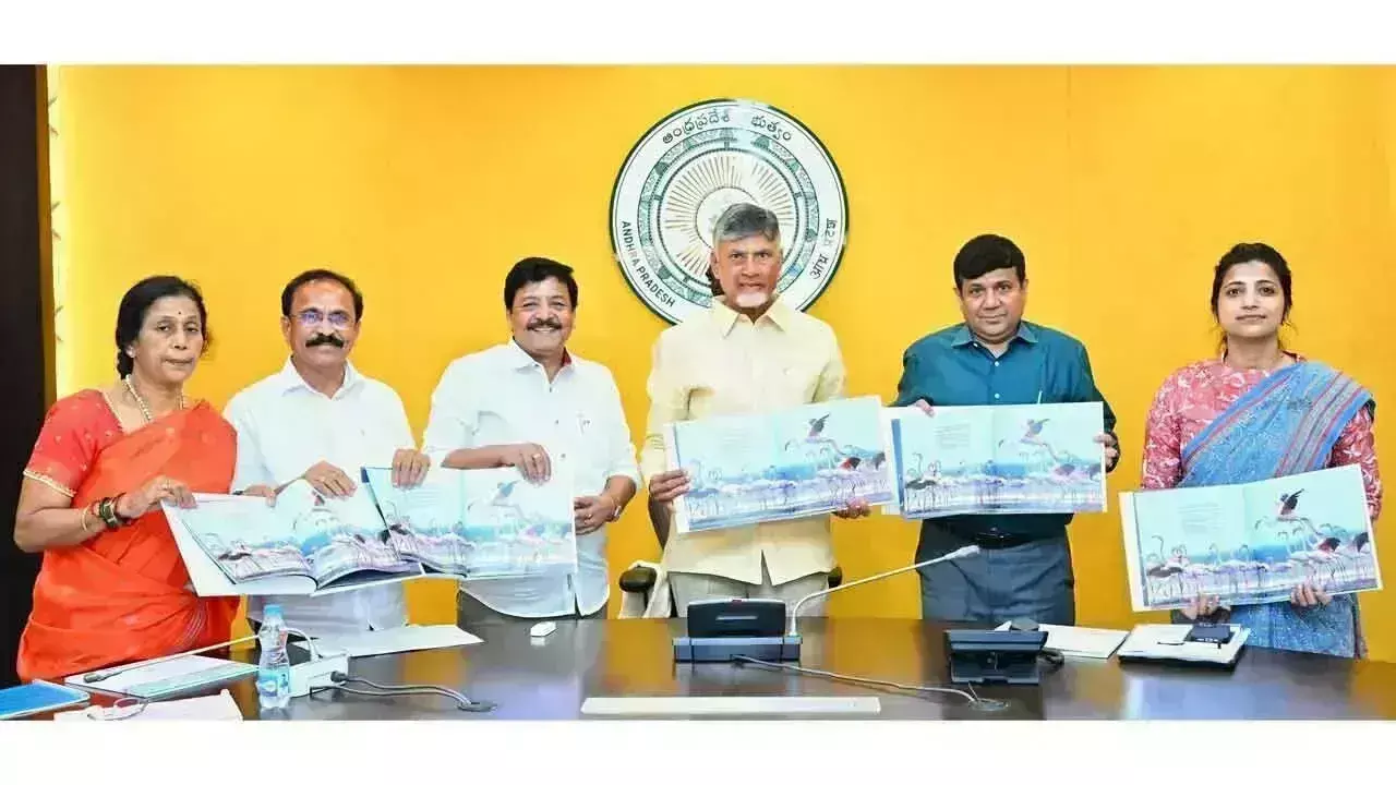 फ्लेमिंगो महोत्सव के सफल आयोजन के लिए Tirupati जिला कलेक्टर की सराहना की फ्लेमिंगो महोत्सव के सफल आयोजन के लिए Tirupati जिला कलेक्टर की सराहना की