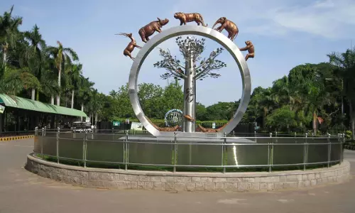 बर्ड फ्लू के डर से Hyderabad zoo ने चिकन और अंडे की आपूर्ति रोकी