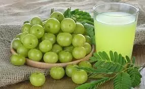 Health: जानिए सुबह सबसे पहले आंवले का पानी पीना सेहत के लिए है बेहद फायदेमंद Health: जानिए सुबह सबसे पहले आंवले का पानी पीना सेहत के लिए है बेहद फायदेमंद