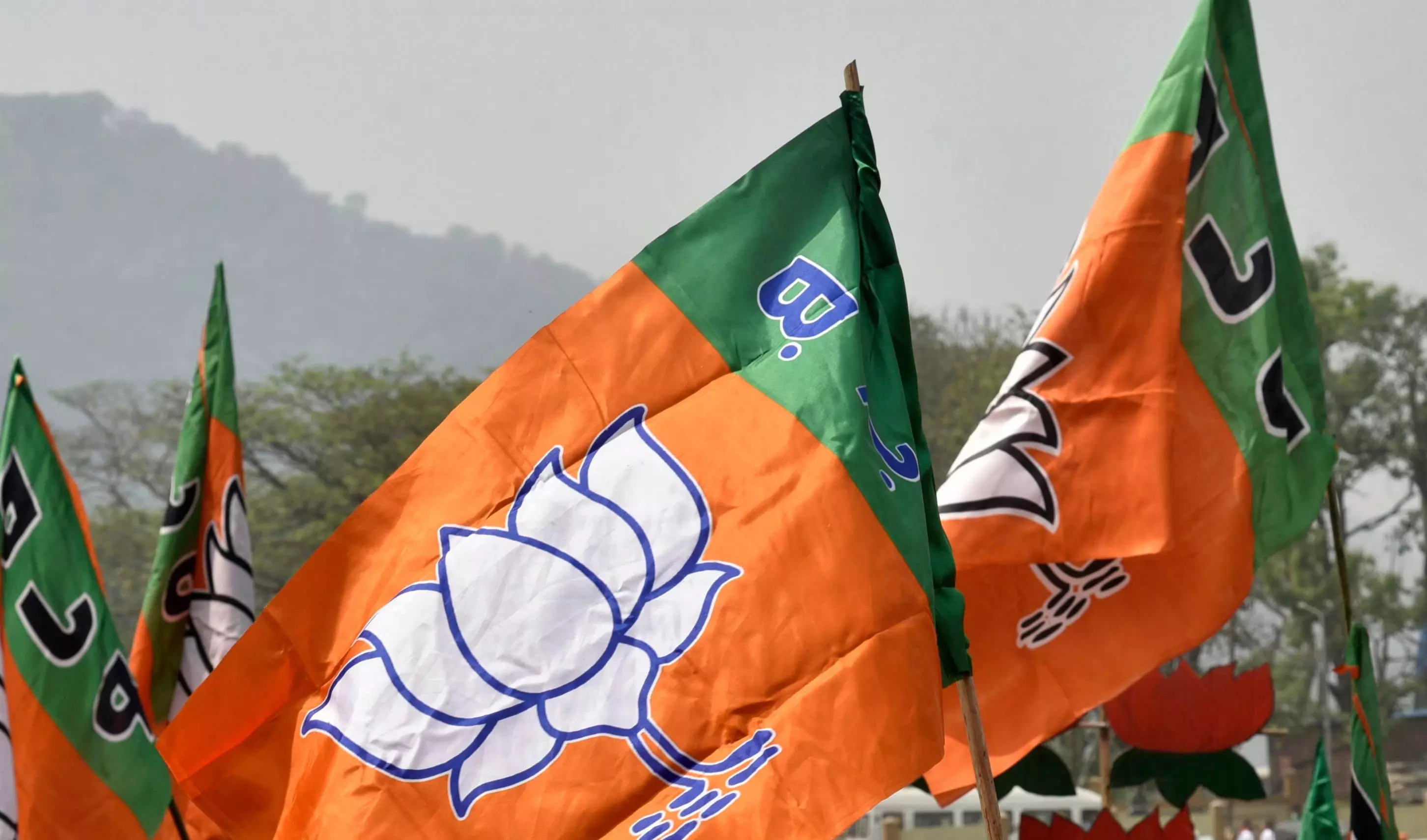 Raipur Nagar Nigam Election Result : रायपुर में बीजेपी आगे, बीजापुर में भाजपा के एक पार्षद प्रत्याशी की जीत Raipur Nagar Nigam Election Result : रायपुर में बीजेपी आगे, बीजापुर में भाजपा के एक पार्षद प्रत्याशी की जीत