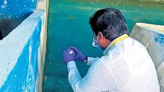 Telangana HC ने अक्कमपल्ली जलाशय के जल प्रदूषण संबंधी चिंताओं पर रिपोर्ट मांगी Telangana HC ने अक्कमपल्ली जलाशय के जल प्रदूषण संबंधी चिंताओं पर रिपोर्ट मांगी