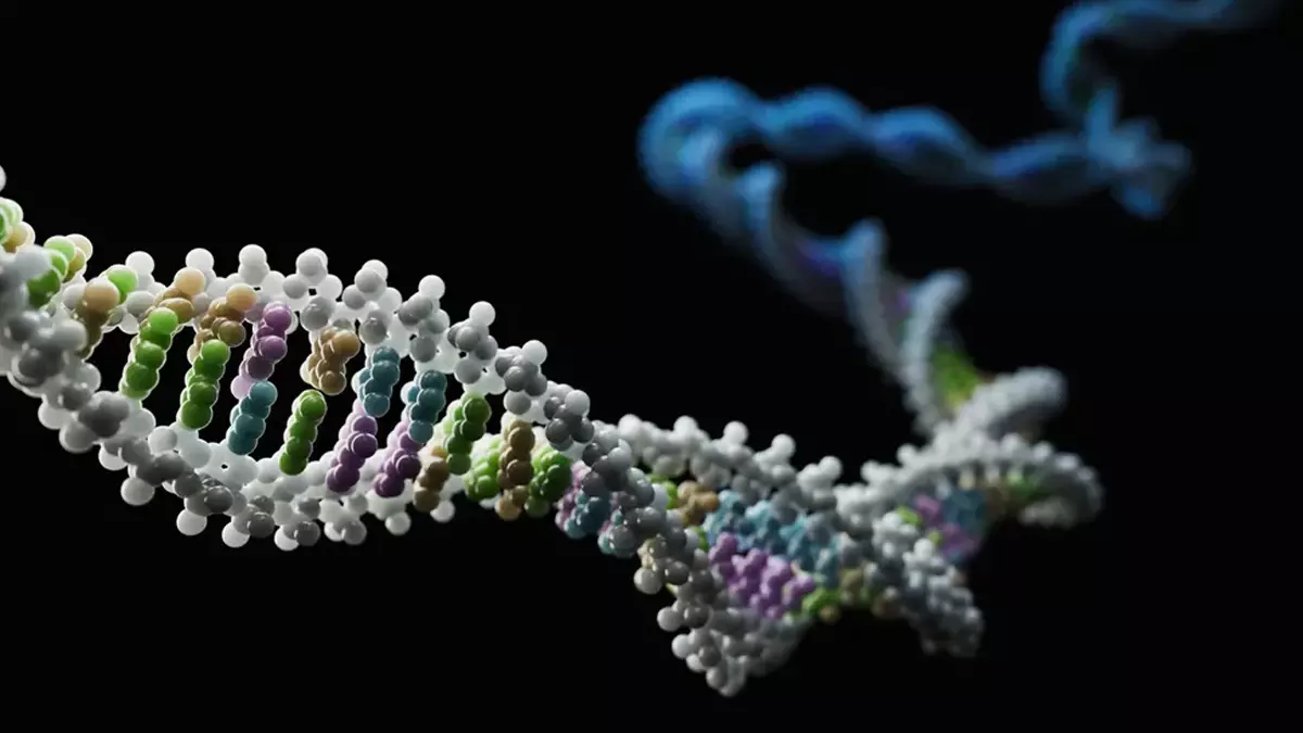 Scientists ने एपिजेनेटिक्स के बारे में हमारी समझ को फिर से लिखा Scientists ने एपिजेनेटिक्स के बारे में हमारी समझ को फिर से लिखा