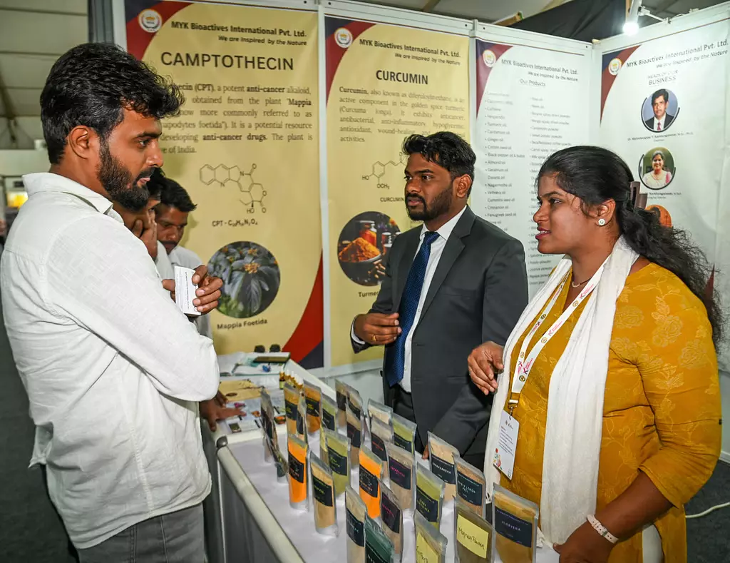 कैंसर रोधी दवा के रूप में इस्तेमाल की जाने वाली Camptothecin लोगों का ध्यान आकर्षित कर रही कैंसर रोधी दवा के रूप में इस्तेमाल की जाने वाली Camptothecin लोगों का ध्यान आकर्षित कर रही