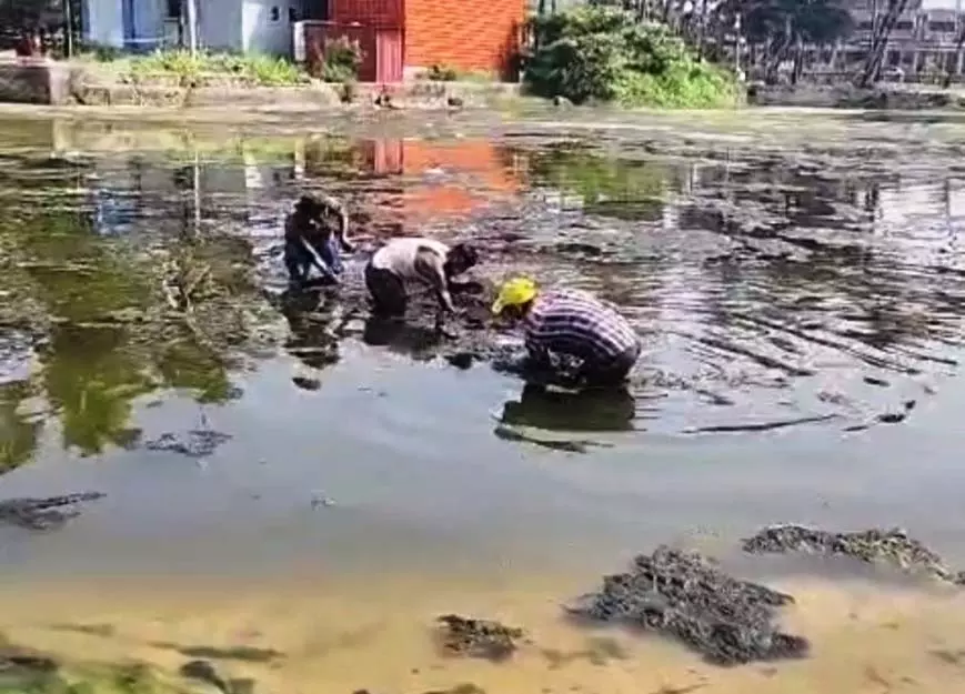 जलस्तर में कमी की चिंताओं के बीच WRD ने कोल्वा क्रीक में शैवाल की सफाई शुरू की जलस्तर में कमी की चिंताओं के बीच WRD ने कोल्वा क्रीक में शैवाल की सफाई शुरू की