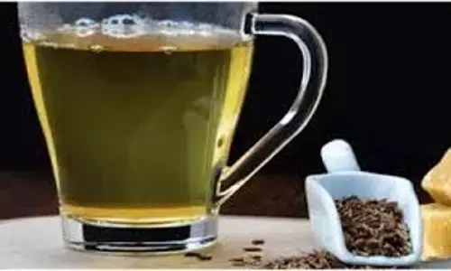 Health: रोज खाली पेट पिएं किचन में रखा ये मसाला पानी, दिल और दिमाग के लिए है फायदेमंद Health: रोज खाली पेट पिएं किचन में रखा ये मसाला पानी, दिल और दिमाग के लिए है फायदेमंद
