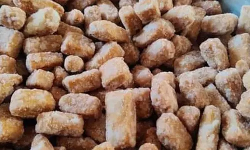 Recipe: अगर रोज खाने के बाद कुछ मीठा खाने का मन करता है तो ट्राई करें ये पॉपुलर डिश