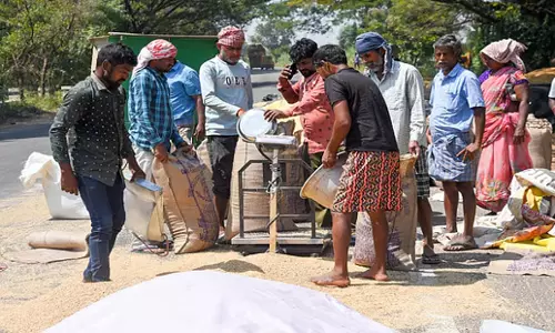 Tamil Nadu: डीपीसी की धान खरीद सीमा बढ़ाकर 70 बोरी प्रति एकड़ की गई Tamil Nadu: डीपीसी की धान खरीद सीमा बढ़ाकर 70 बोरी प्रति एकड़ की गई