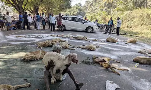 Tamil Nadu: कुत्तों द्वारा मारे गए पशुओं के लिए राहत की मांग को लेकर किसानों ने सड़क जाम किया