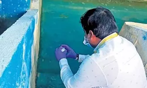 Telangana HC ने अक्कमपल्ली जलाशय के जल प्रदूषण संबंधी चिंताओं पर रिपोर्ट मांगी