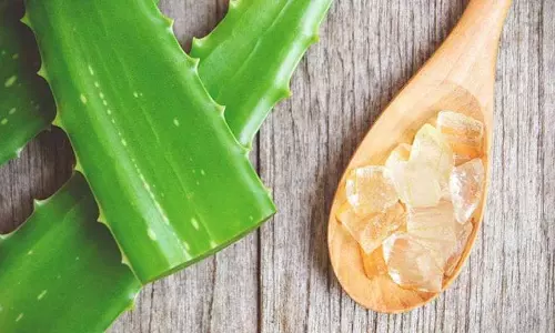 Skin Care: चुकंदर से त्वचा को मिलेगा गुलाबी निखार, ट्राई करें इससे बने ये फेस पैक