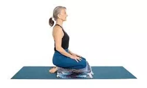 Yoga Tips: शरीर की रोगों से लड़ने की क्षमता बढ़ाते हैं ये योगासन, नियमित करें इनका अभ्यास Yoga Tips: शरीर की रोगों से लड़ने की क्षमता बढ़ाते हैं ये योगासन, नियमित करें इनका अभ्यास